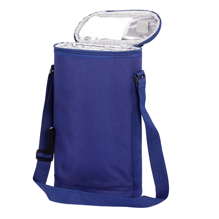 Custom 2 Bottles Christmas Insulated Carrier Tote Canvas Travel Padded Sublimation Portable Ice Wine Cooler Bag