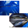 Outdoor Oem Custom Kayak Live Fish Bags Thicken Foam Eva Design Sling Fishing Tackle Reel Insulated Waterproof Bags
